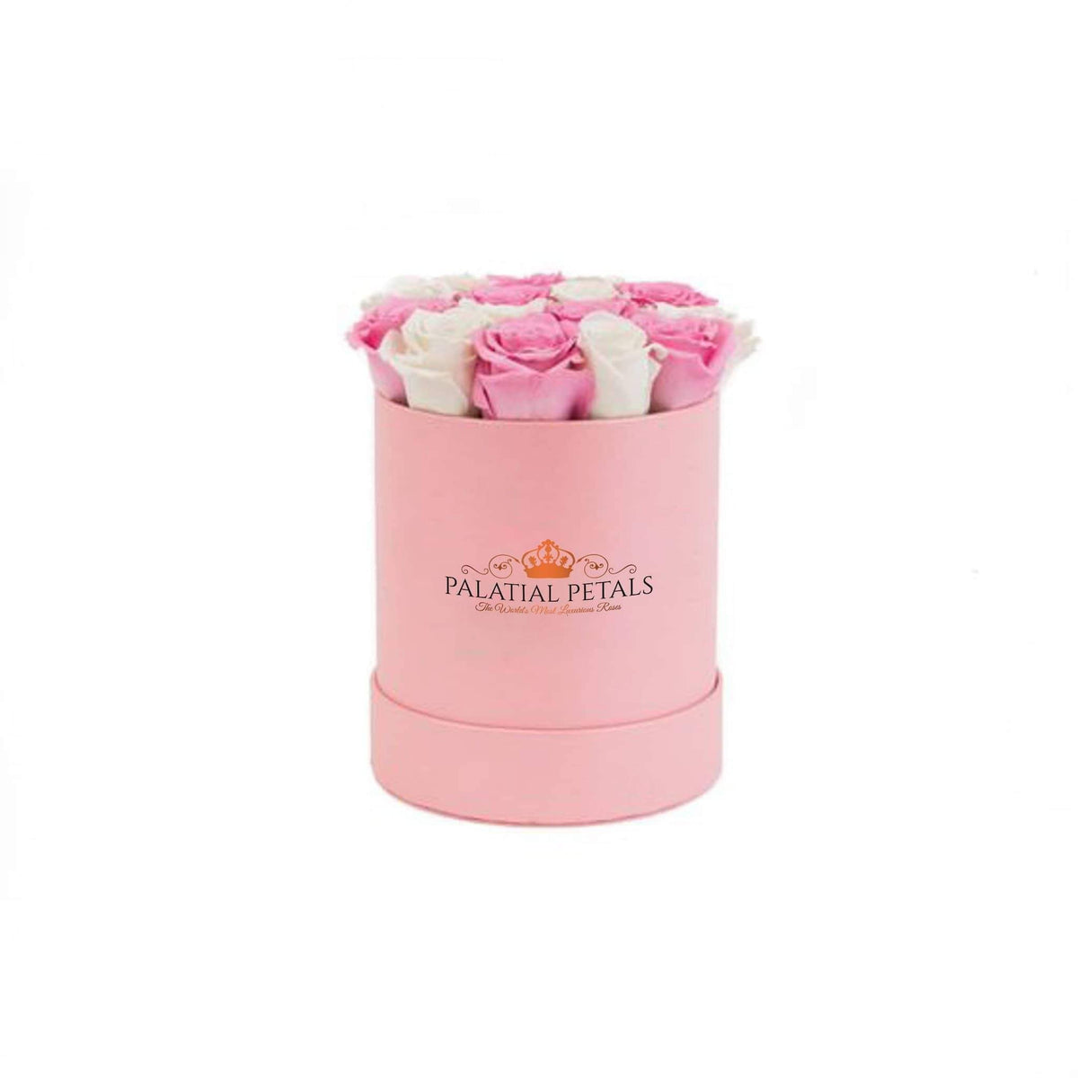 Mini Bridal Pink & Snow White Preserved Roses in Round Gift Box