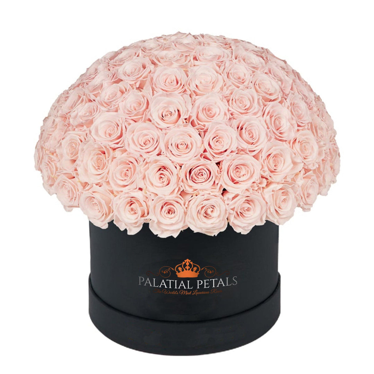 Large Roses Preserved Roses in Dome Box