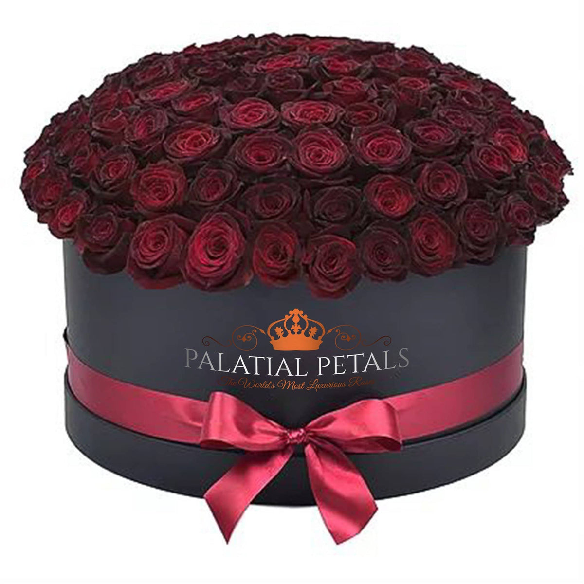Preserved Roses in Dome Box