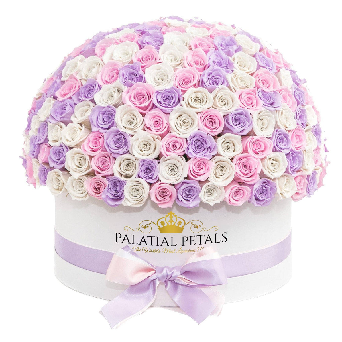 Preserved Roses in White Dome Box