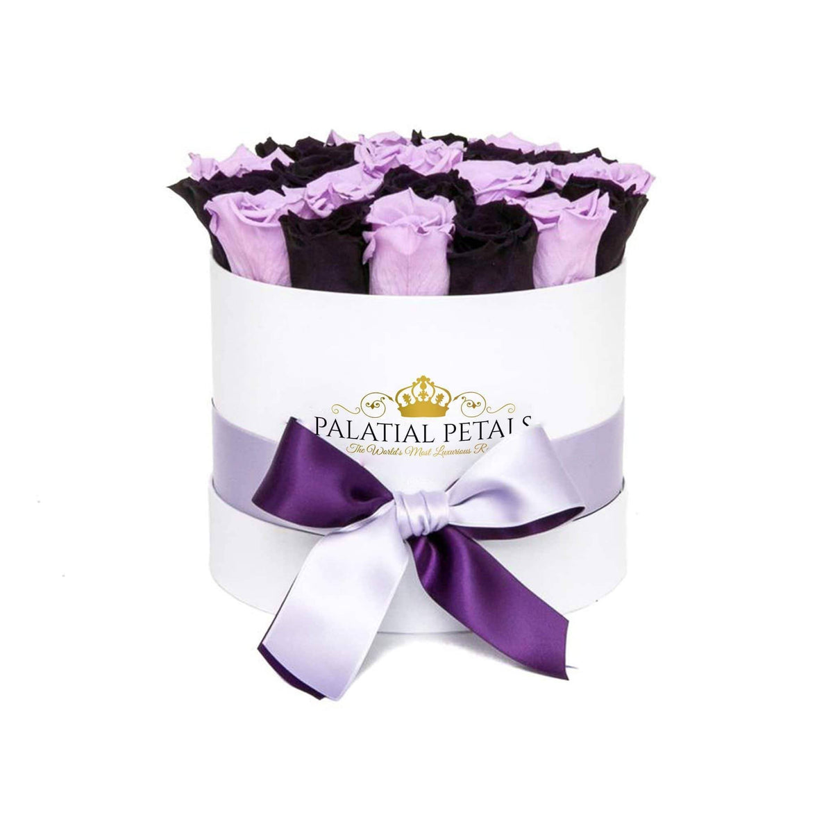Majestic Purple Sweet Lavender Preserved Roses in Round Gift Box