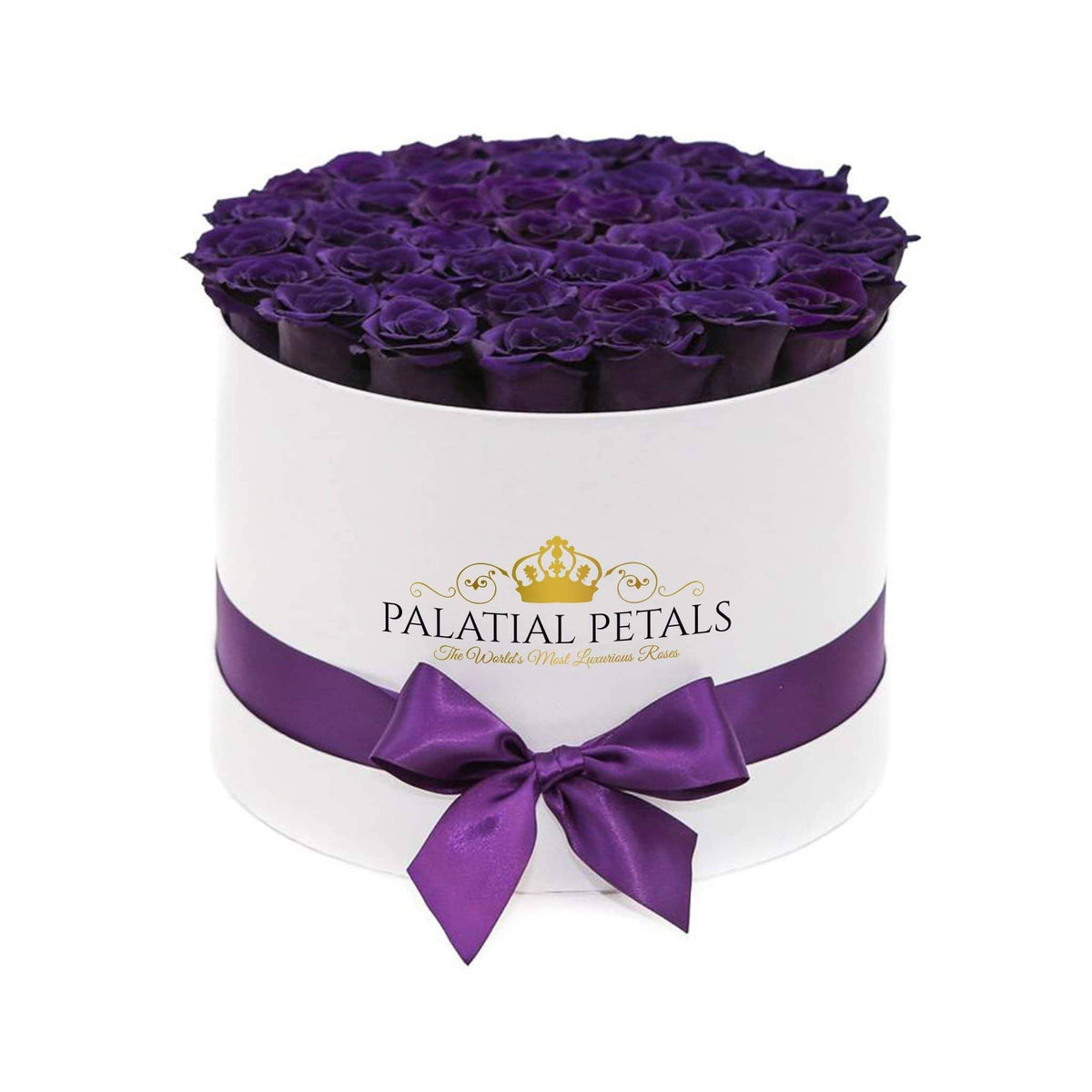 Large Majestic Purple Preserved Roses in Round Gift Box