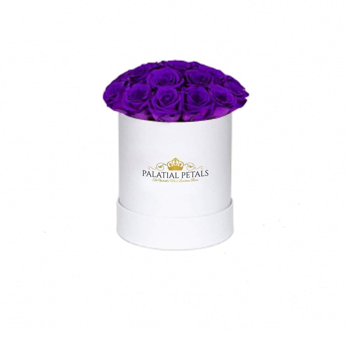 Mini Majestic Purple Preserved Roses in Petite Round Gift Box – Style 2