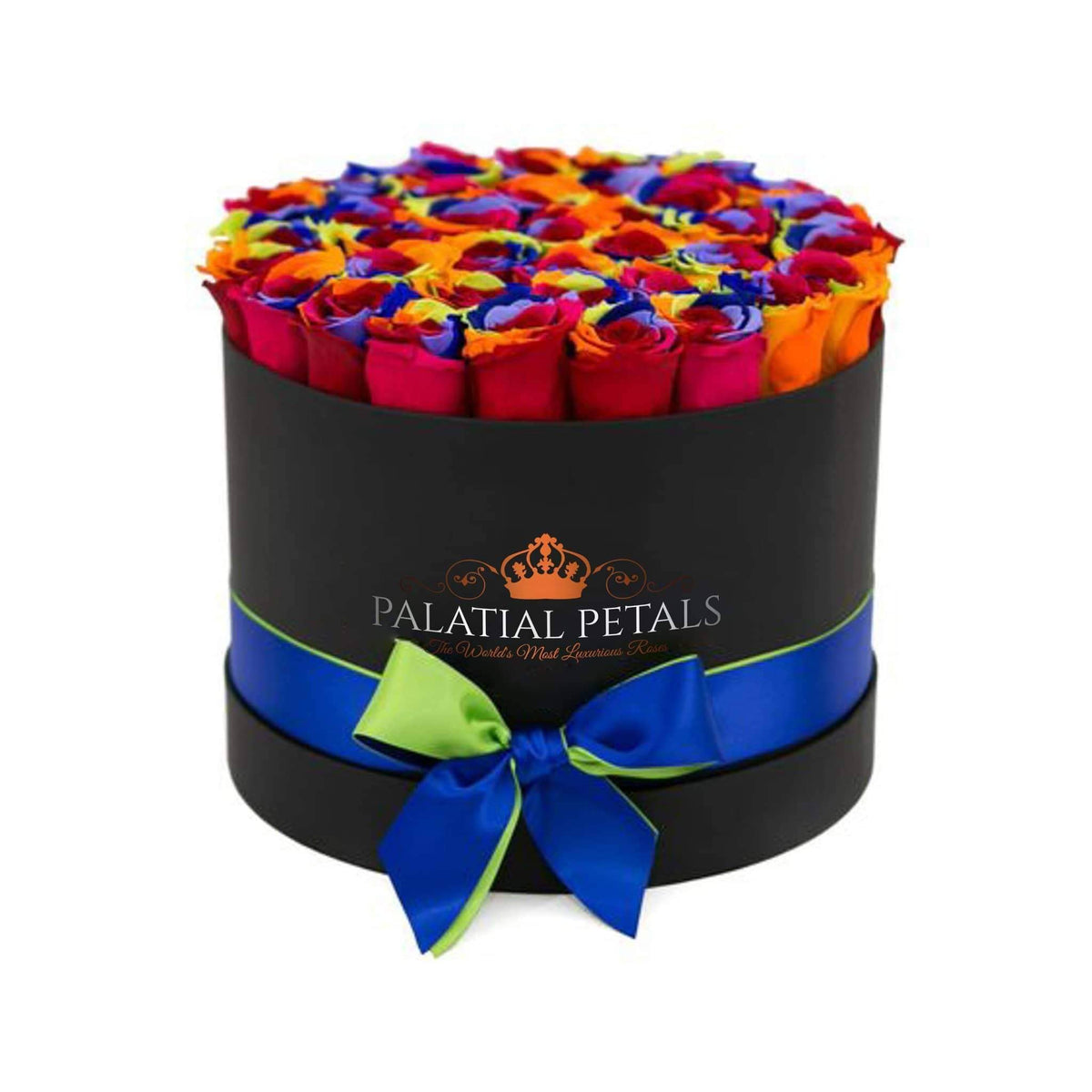 36-38 Rainbow Preserved Roses Gift Box