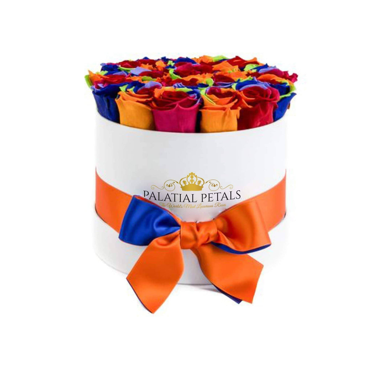 Rainbow Preserved Roses in Medium Round Gift Box – Style 2