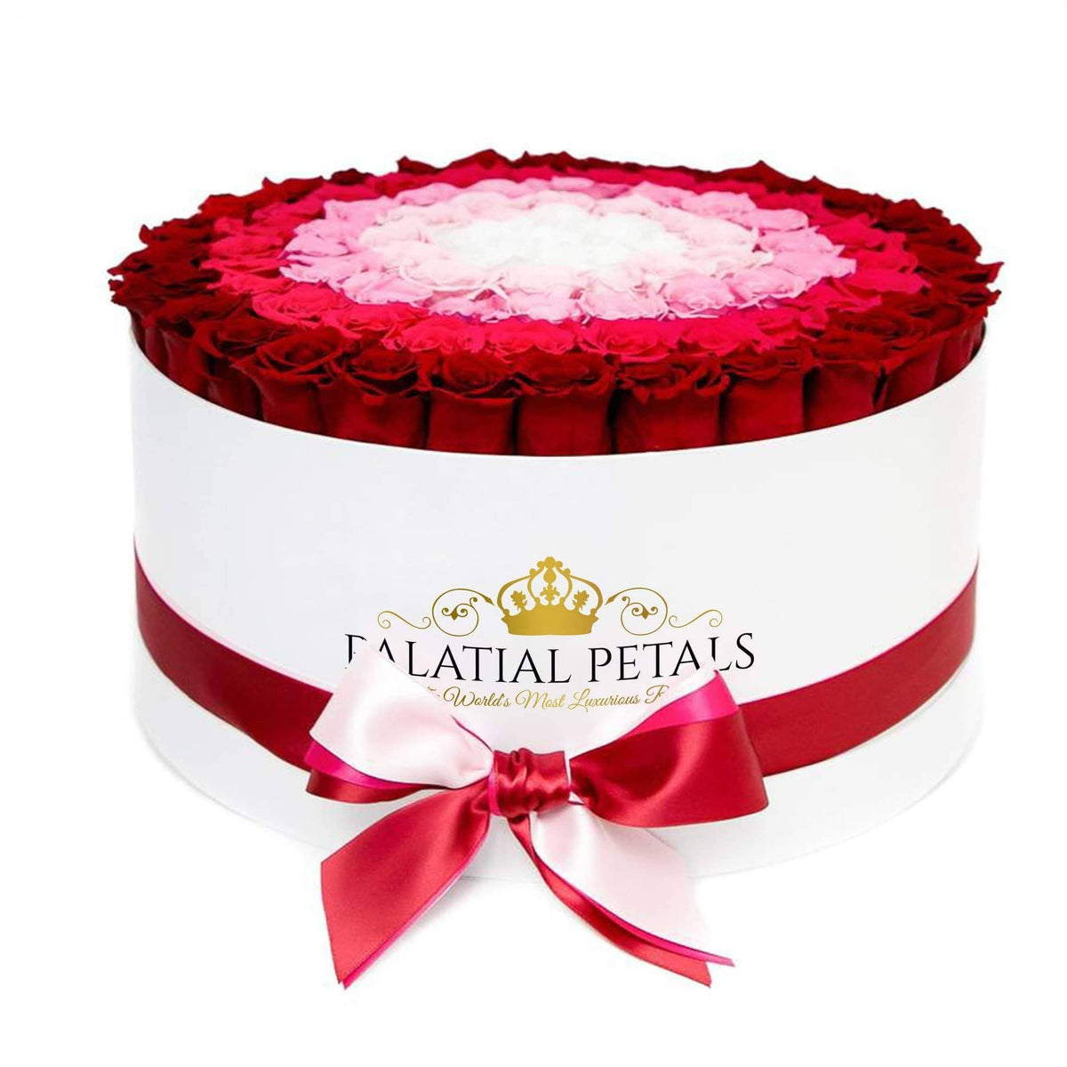 5 Preserved Roses in Round Gift Box