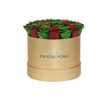 Red & Emerald Green Preserved Roses in Round Gift Box
