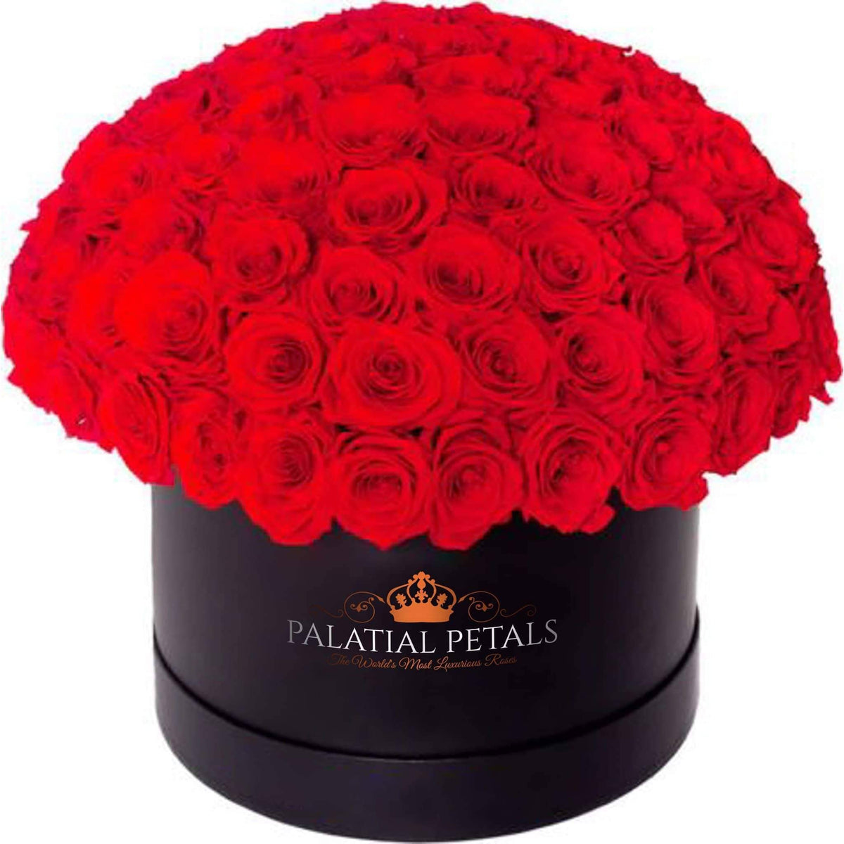 Large Red Preserved Roses in Velvet Dome Box