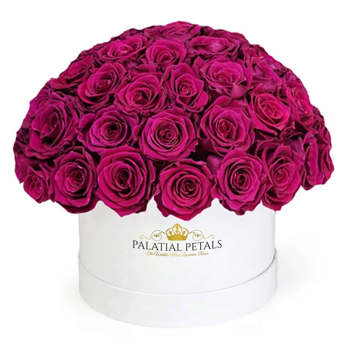 Large Red Wine Preserved Roses in Dome Box