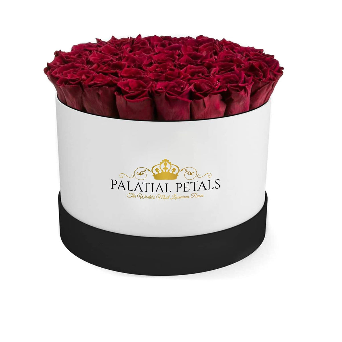 Large Red Preserved Roses in White Round Gift Box