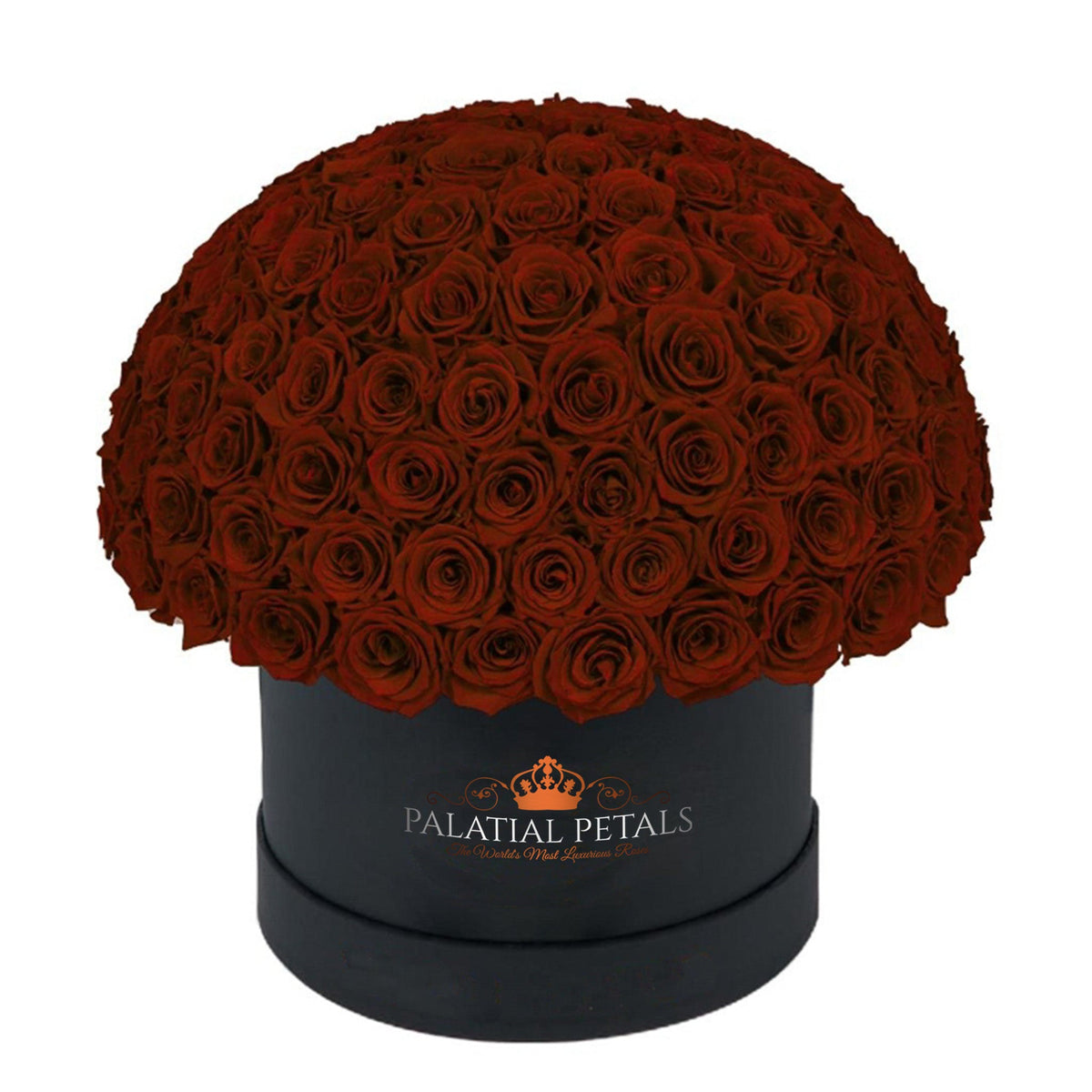 Large Red Preserved Roses in Dome Box