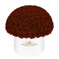 Large Red Preserved Roses in Dome Box – Style 2