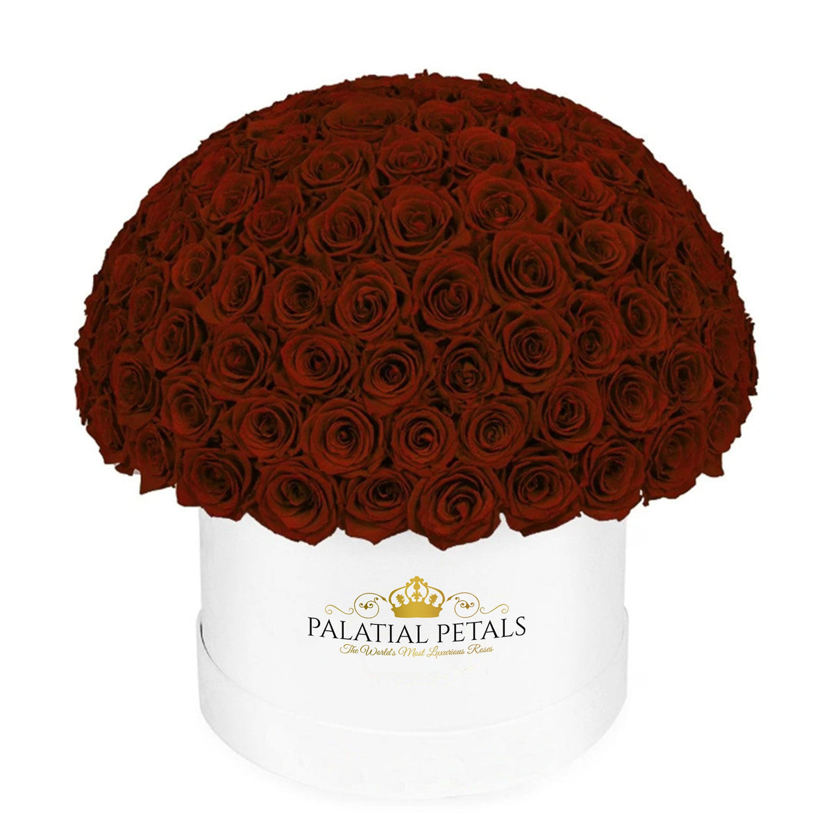 Large Red Preserved Roses in Dome Box – Style 2