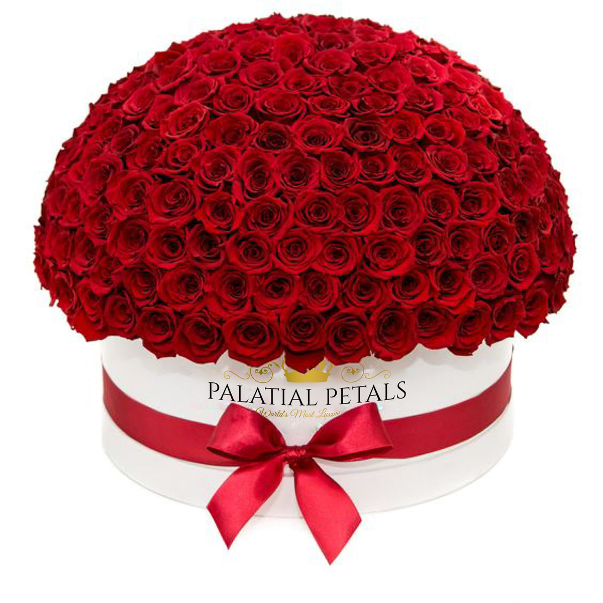 Red Preserved Roses in Dome Box