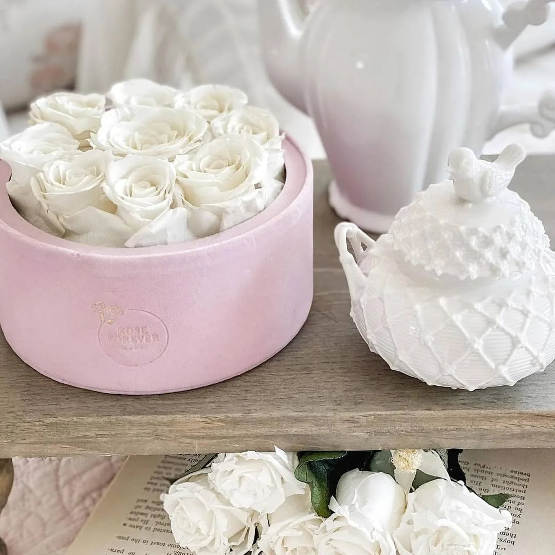 9 Ivory Preserved Roses in Suede Round Gift Box