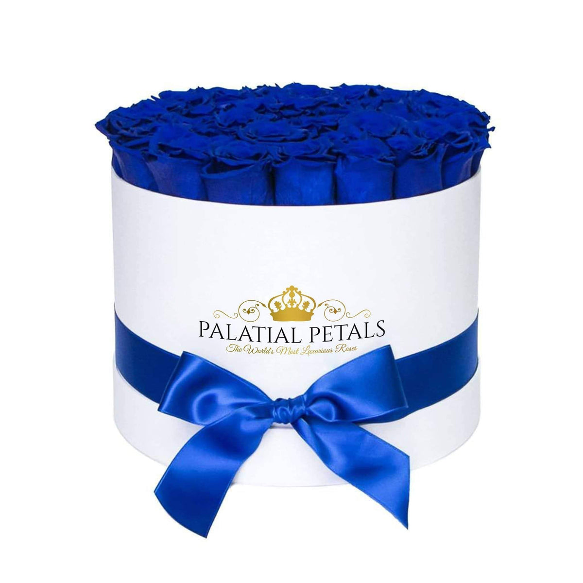 Large Royal Blue Preserved Roses in Round Gift Box