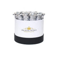 Metallic Silver Preserved Roses in Round Gift Box