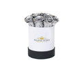 Mini Metallic Silver Preserved Roses in Round Gift Box