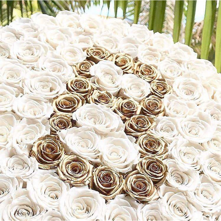Snow White & 24K Gold Preserved Roses in Round Gift Box