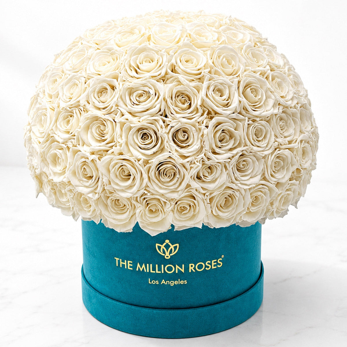 120-130 White Preserved Roses in Green Suede Dome Box