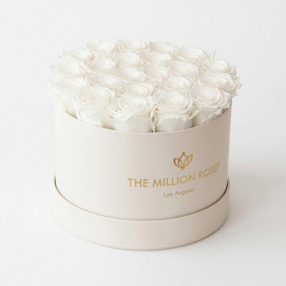 26-28 White Preserved Roses in Beige Suede Gift Box