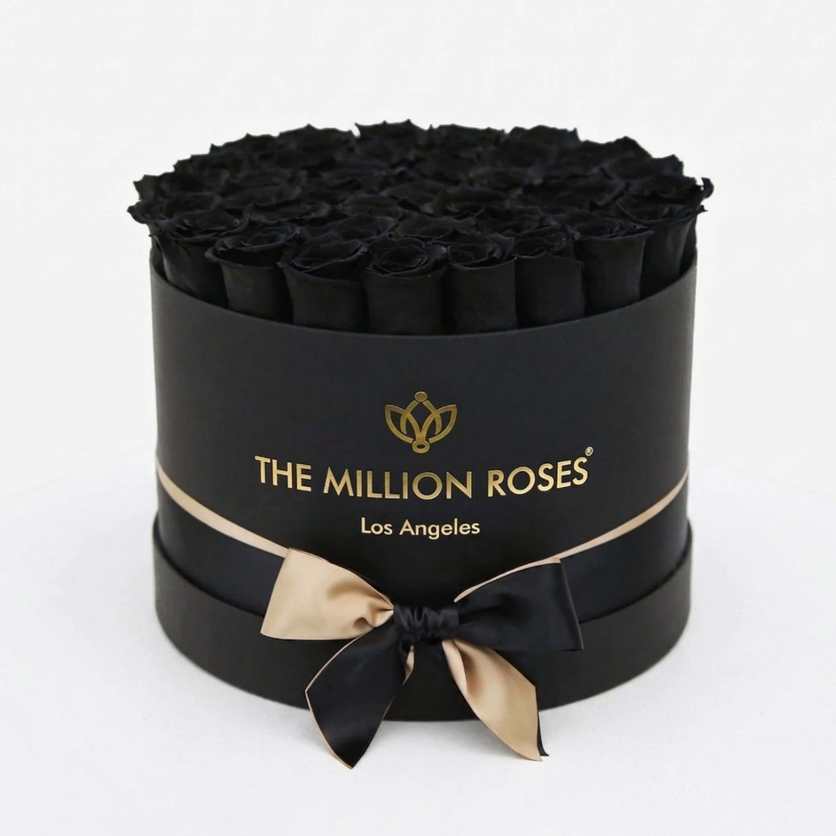 26-28 Black Preserved Roses Gift Box
