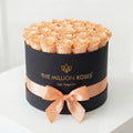 26-28 Peach Preserved Roses in Black Gift Box