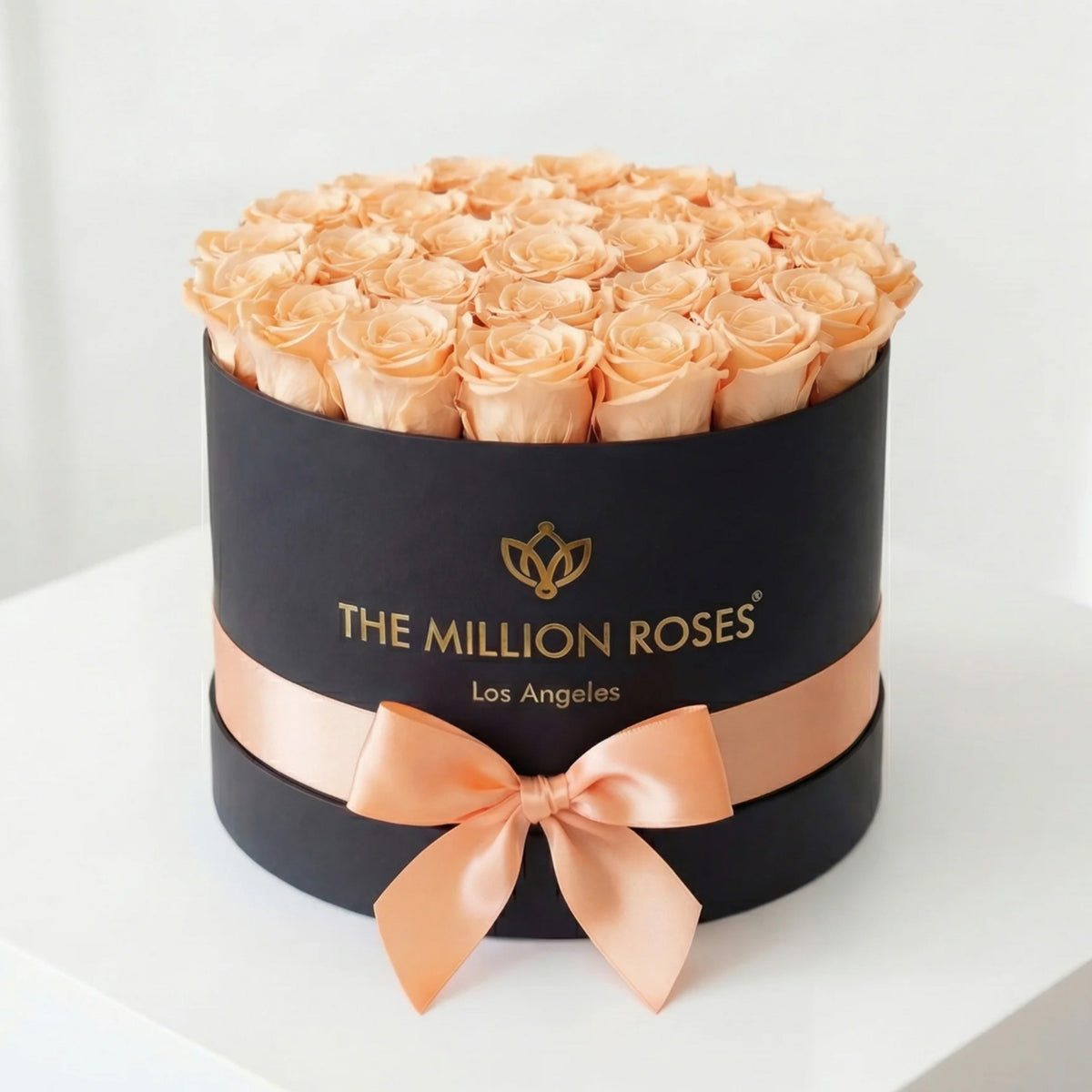 26-28 Peach Preserved Roses in Black Gift Box