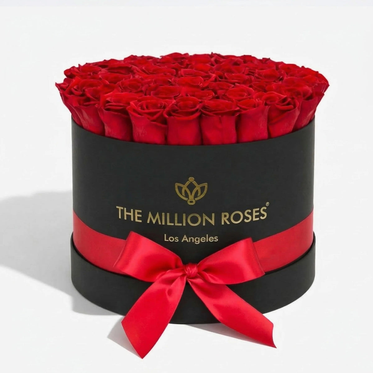 26-28 Red Preserved Roses in Black Gift Box
