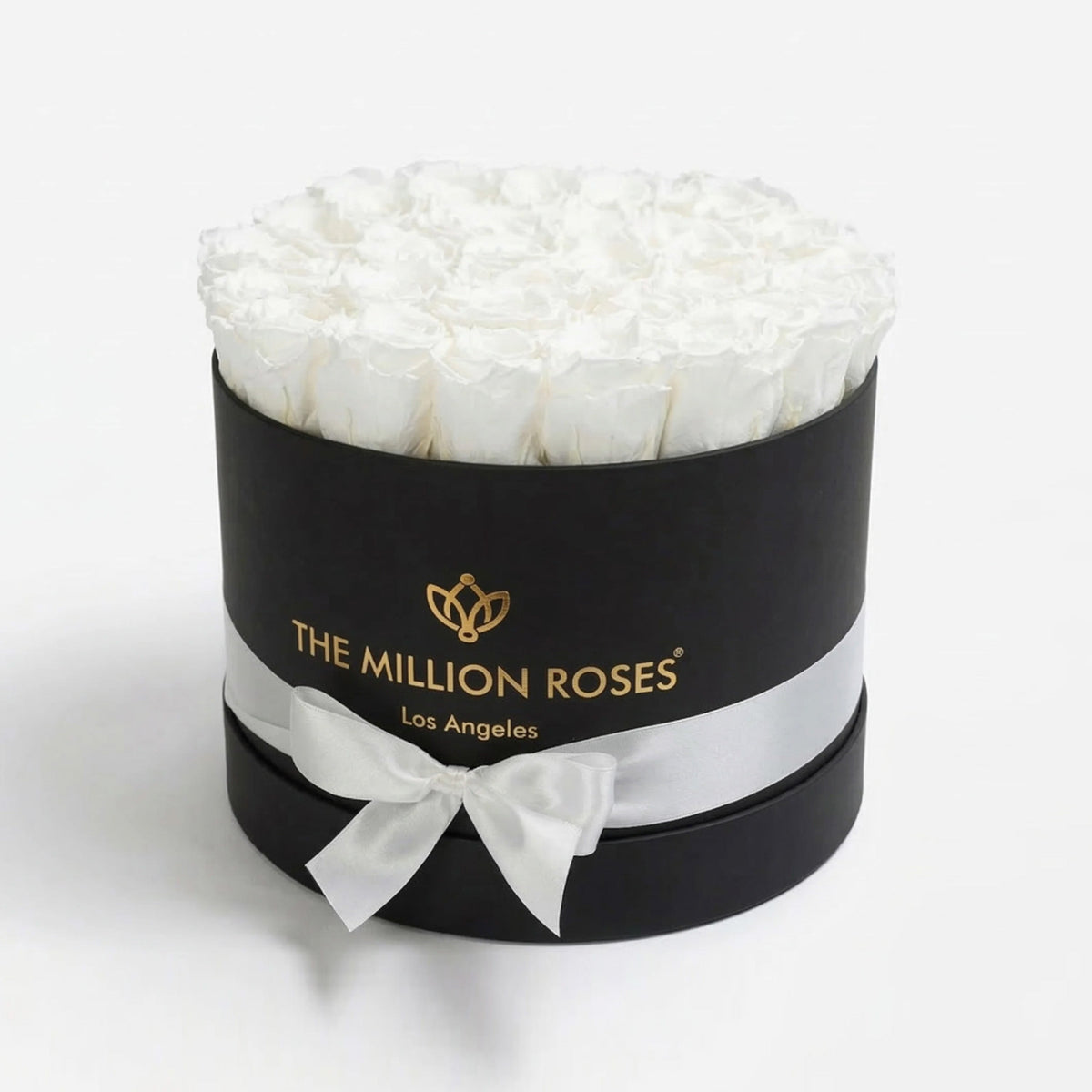 26-28 White Preserved Roses in Black Gift Box