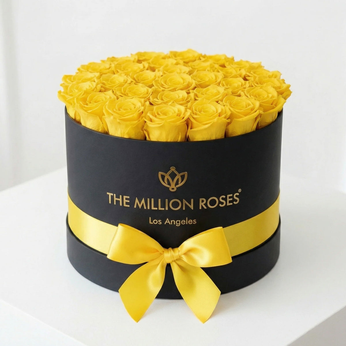 26-28 Yellow Preserved Roses in Black Gift Box