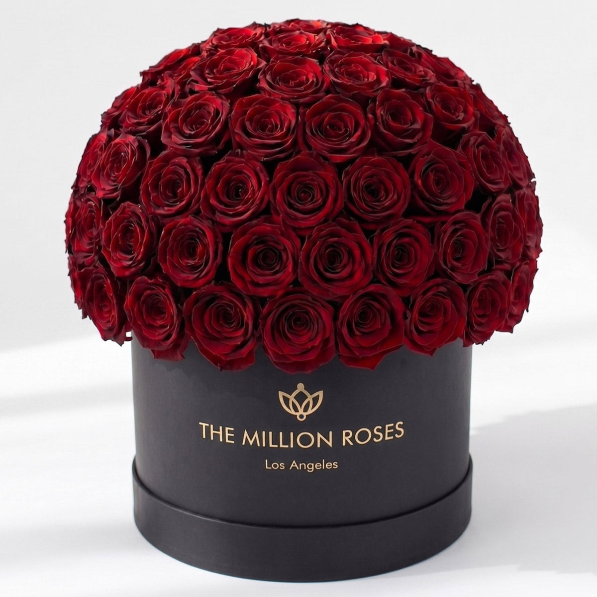 120-130 Burgundy Preserved Roses in Dome Box