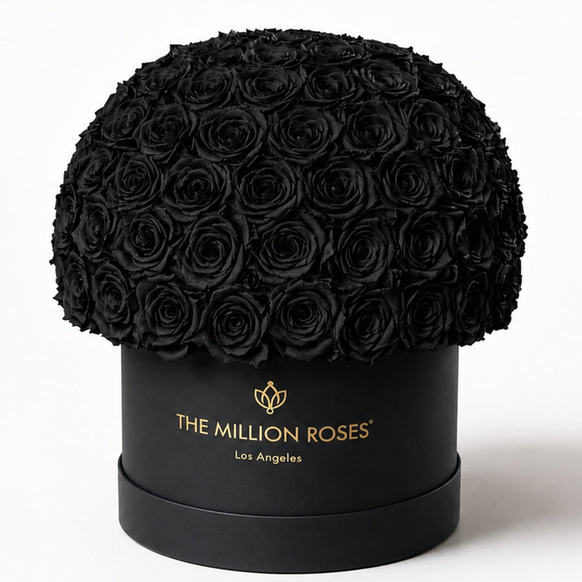120-130 Black Preserved Roses in Dome Box