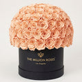 120-130 Peach Preserved Roses in Black Dome Box