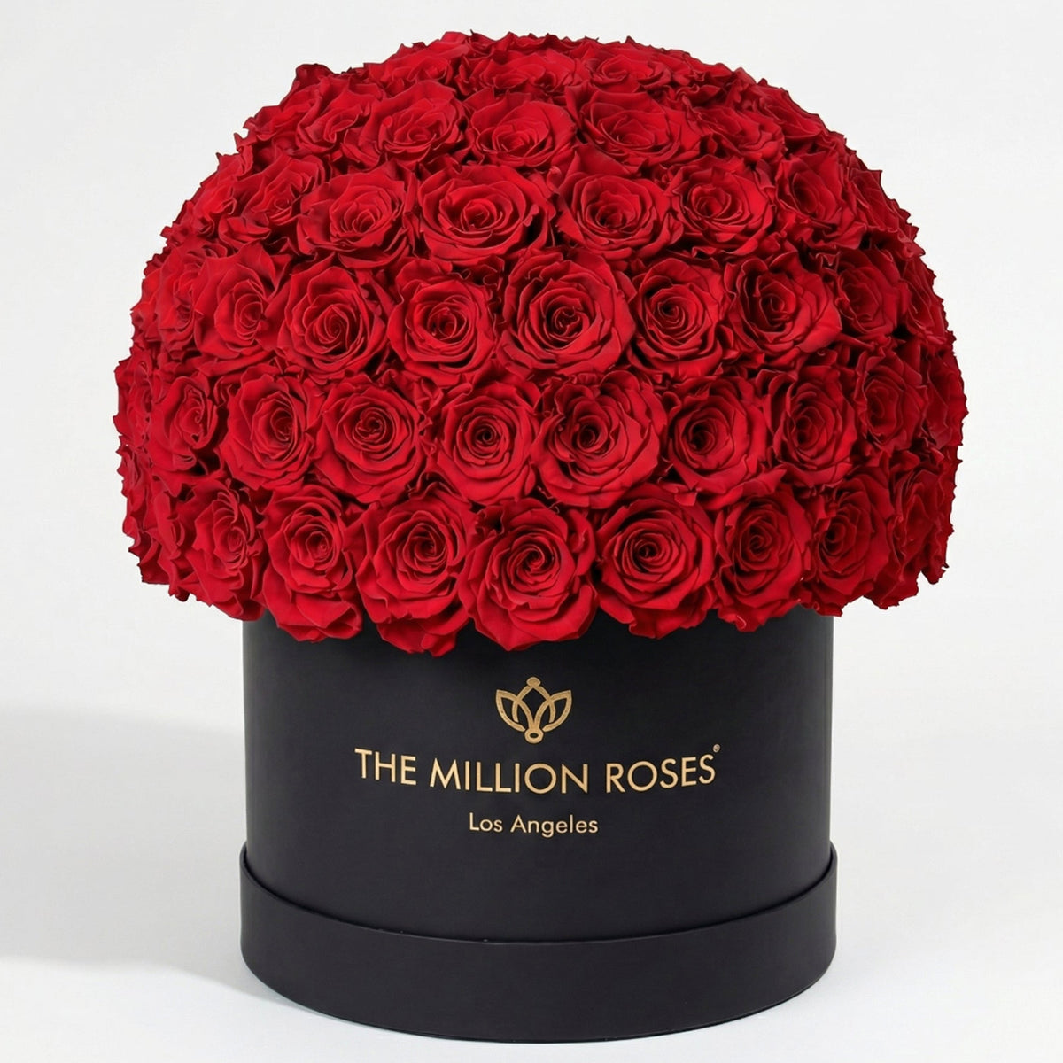 120-130 Red Preserved Roses in Black Dome Box