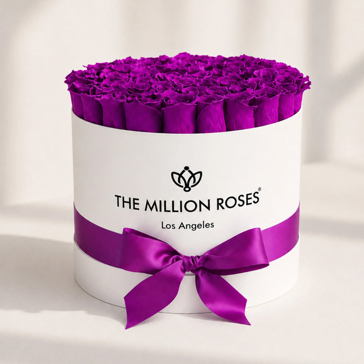 Purple Preserved Roses in White Gift Box