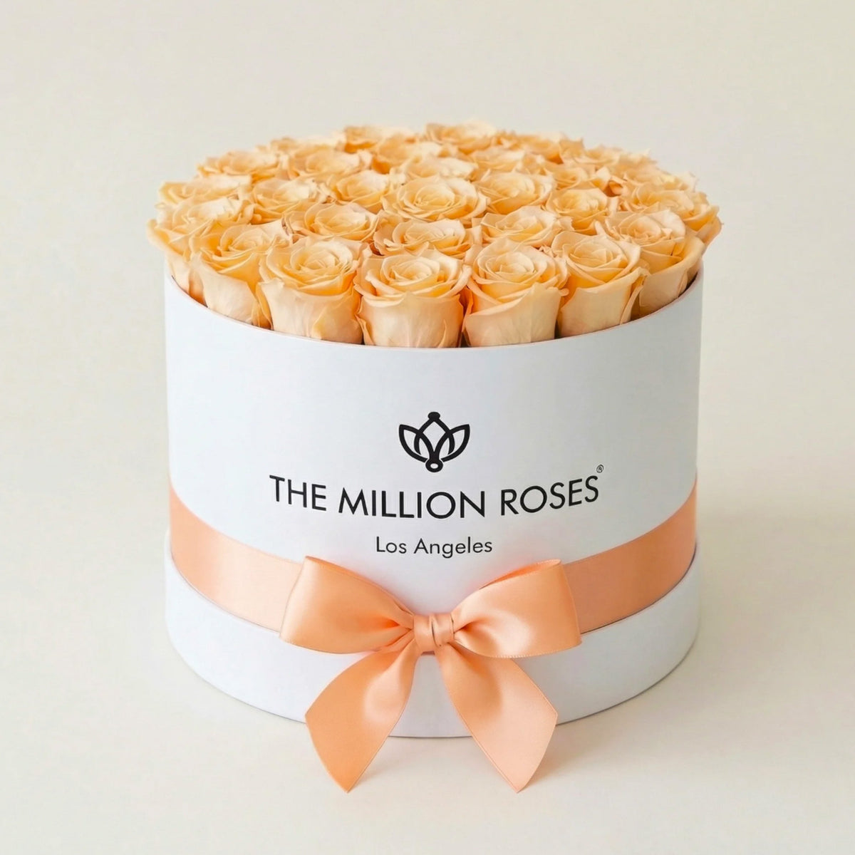 26-28 Peach Preserved Roses in White Gift Box