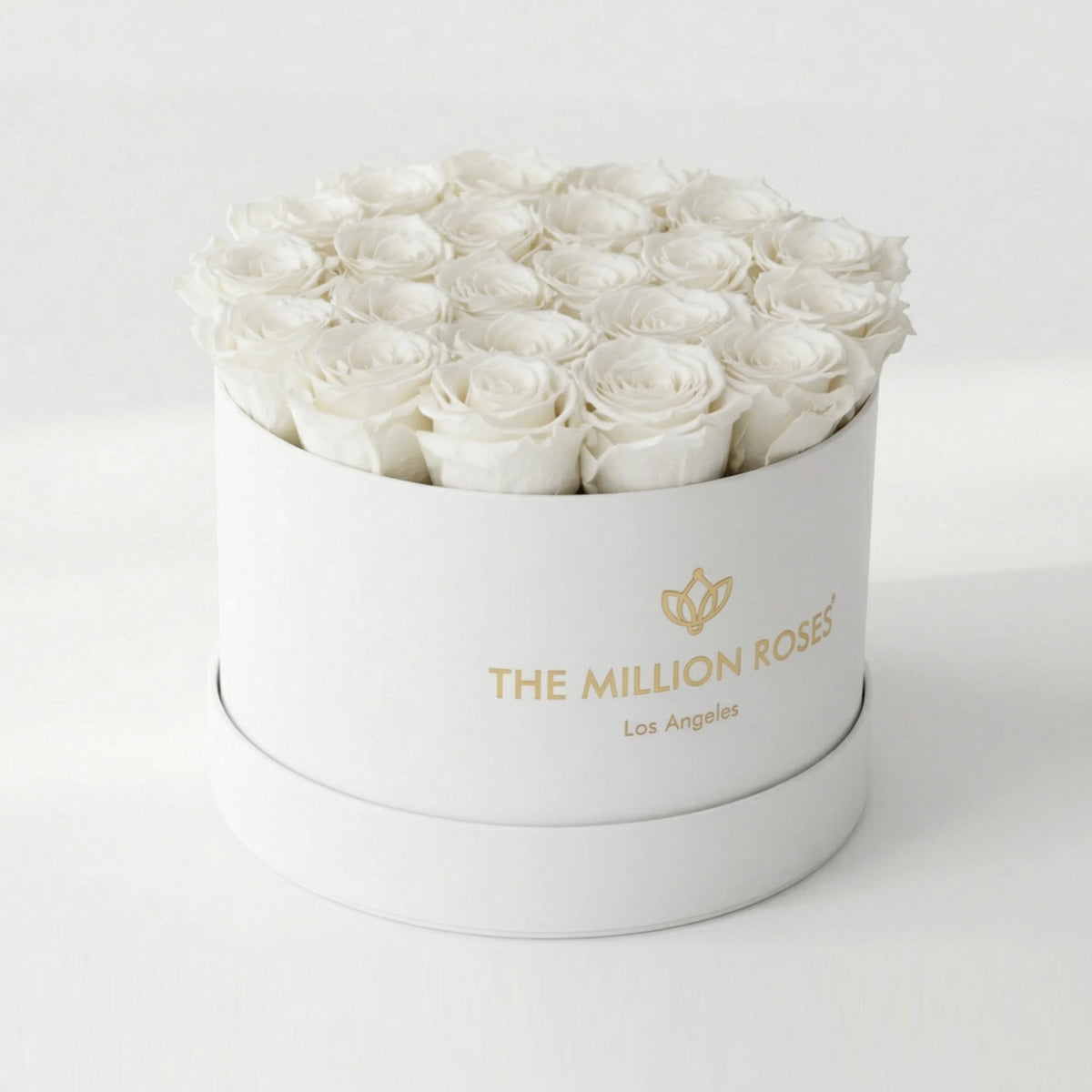 26-28 White Preserved Roses in White Gift Box