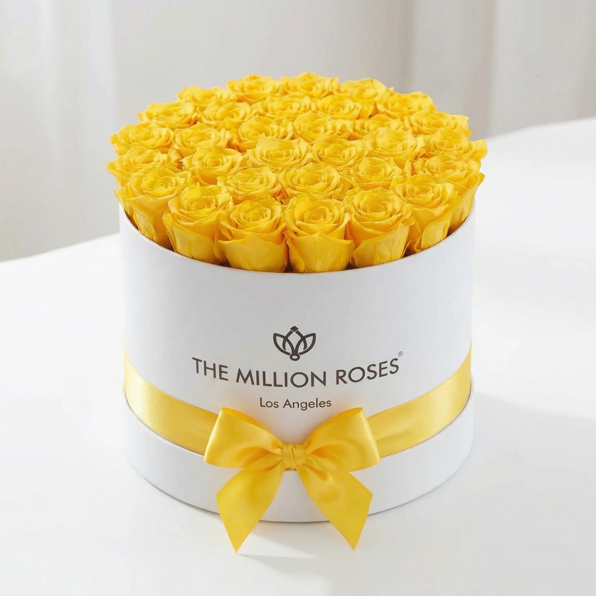 26-28 Yellow Preserved Roses in White Gift Box