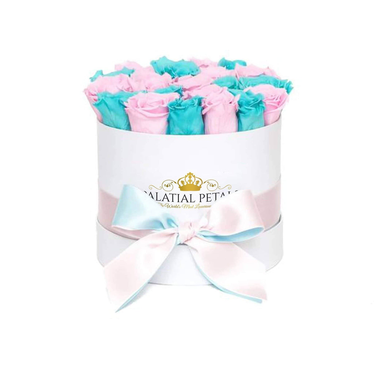 15-20 Blue & Pink Preserved Roses Gift Box