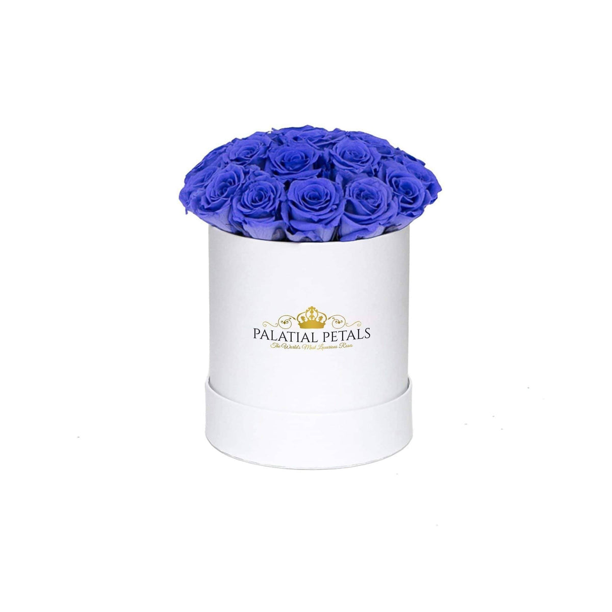 Mini Violet Preserved Roses in Round Gift Box