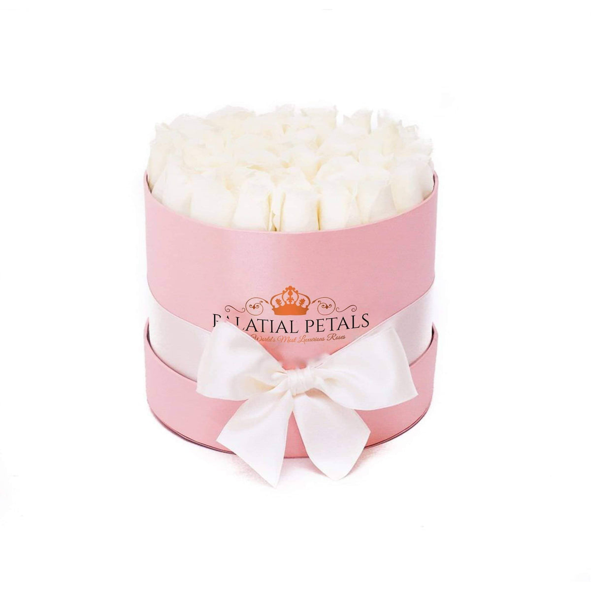 Princess White Preserved Roses in Round Gift Box