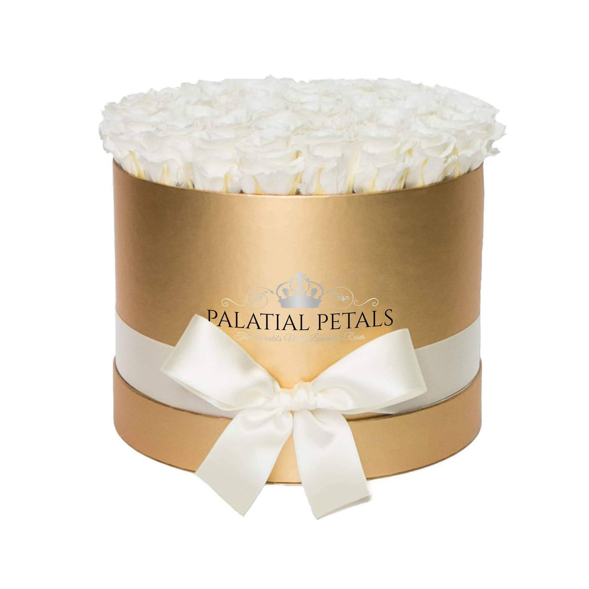 Grand Princess White Preserved Roses in Round Gift Box