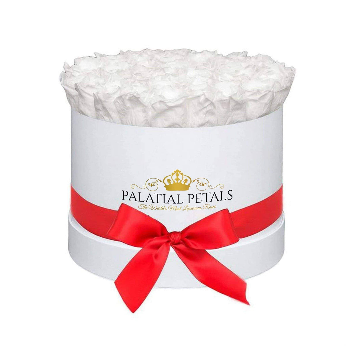 Large Snow White Preserved Roses in Round Gift Box – Style 2