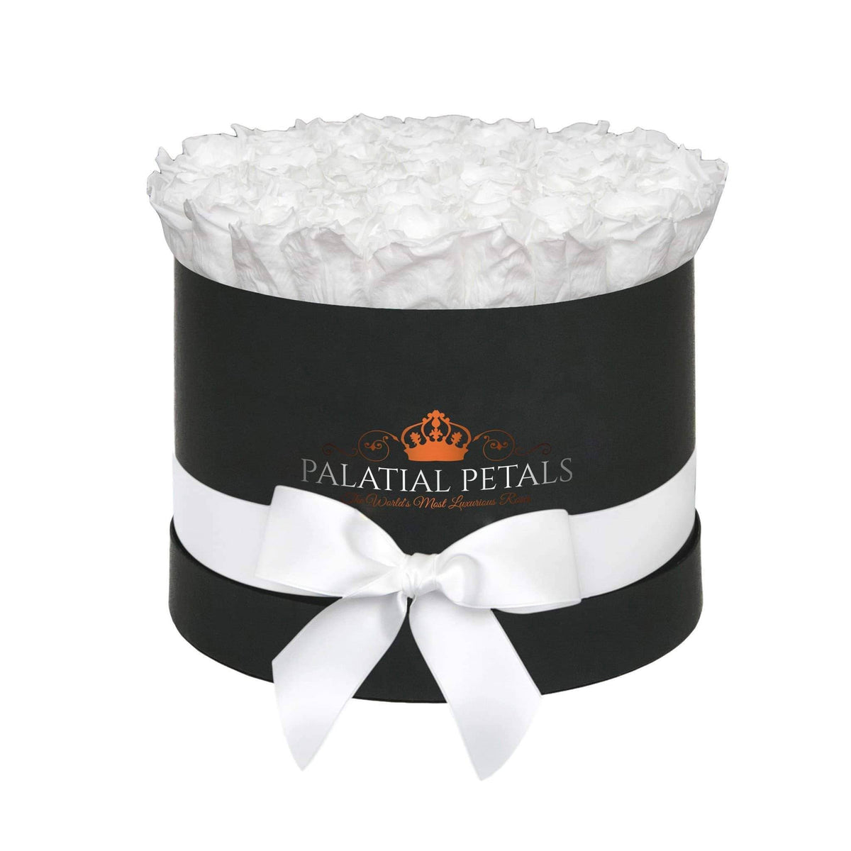 Large Snow White Preserved Roses in Round Gift Box