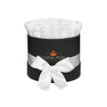 Snow White Preserved Roses in Medium Round Gift Box