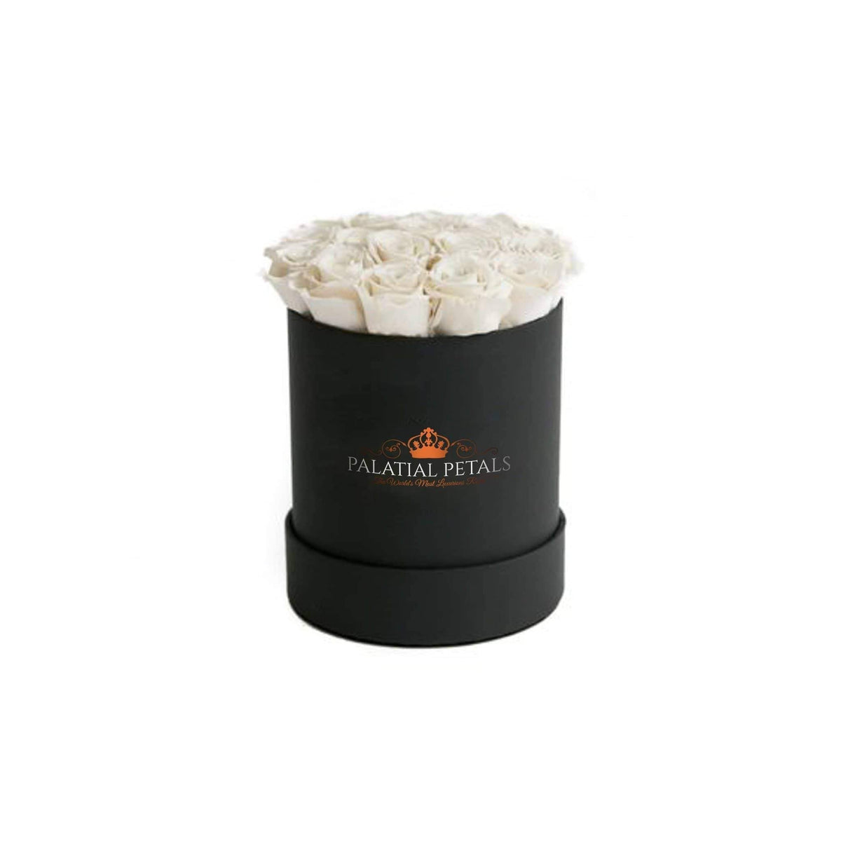 Mini Snow White Preserved Roses in Petite Round Gift Box – Style 2