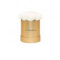 Mini Princess White Preserved Roses in Round Gift Box