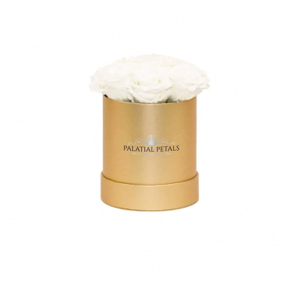 Mini Princess White Preserved Roses in Round Gift Box
