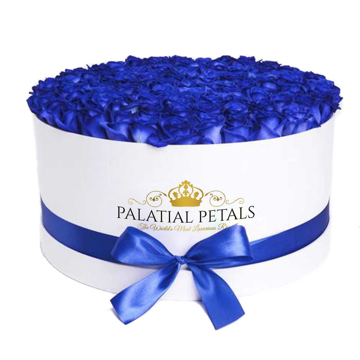 Royal Blue Preserved Roses in Round Gift Box